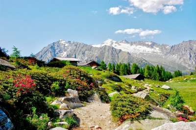 Presanella 白云岩 布伦塔 阿尔卑斯山 高山 徒步旅行