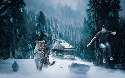 森林 雪 老虎 自然 户外 艺术