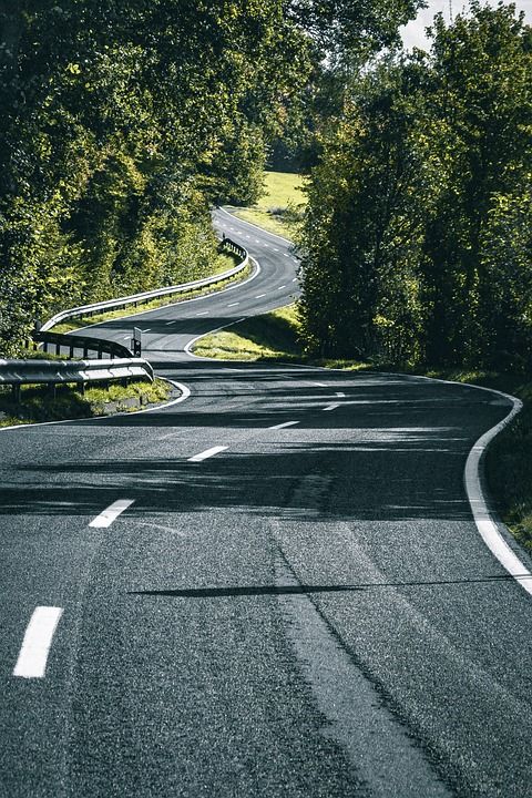 路 小路 沥青 曲线 交通 乡村小路 森林 汽车 去旅行 景观