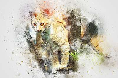 猫 树 宠物 艺术 抽象 水彩 优质的 动物 丰富多彩的 基蒂