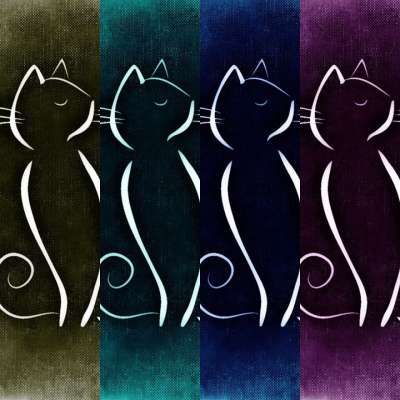 猫 画画 动物 图片 乐趣 人物 多彩多姿的