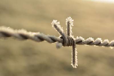 铁丝网 霜 冬天 栅栏 自然 寒冷的 边框 雪 冰淇淋 白色的