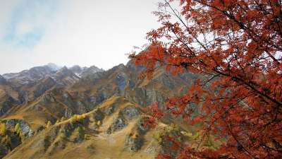 最高额 秋山 旅游 全景图 红发女郎 景观 阿尔卑斯山 四季