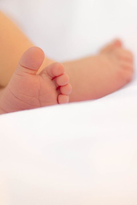 生活 人们 人类 婴儿 孩子 学步的儿童 脚