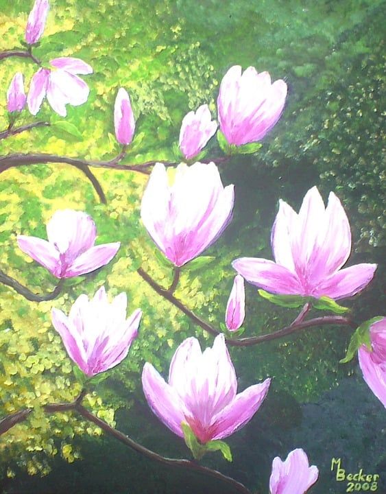 木兰 绘画 图片 艺术 作画 染 艺术的 艺术家 作品 创造力