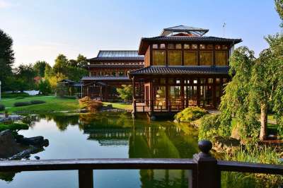 旅行 假期 日本花园 图林根 旅游 松弛 安静的