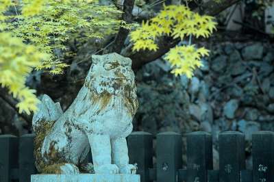 狮子 雕塑 神道 日本 神社 艺术