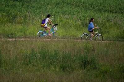 自行车远足 女孩 路 苏美尔 自行车 运动 街道 自然 户外的