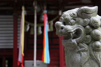 神社 监护人的狗 日本 石像 雕塑 小马努 神越 牌坊 历史