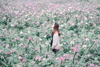 花朵 女孩 丢失的 肖像 自然 春天 人们 女性 快乐的 模型