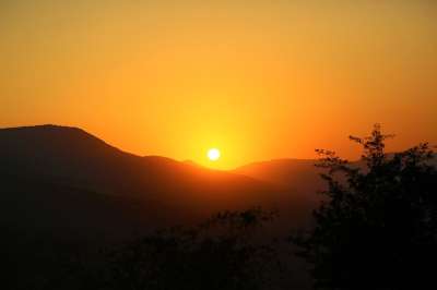 日落 自然 森林 景观 天空 晚上 夏天 树 地平线