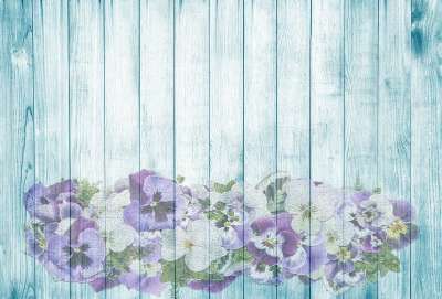 三色堇 在木材上 夏天 绿松石 蓝色的 木头 花 浪漫的 新鲜