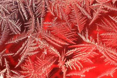 弗罗斯特 冰 凝胶 冬天 寒冷的 自然 水 雪 形式 几点思考