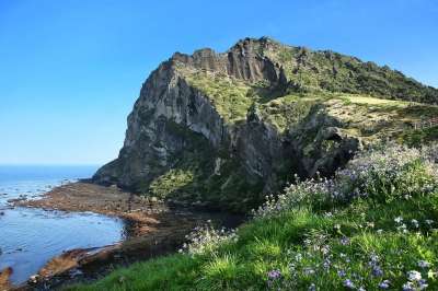 济州 大韩民国 日出时的薪水 城山日出峰 济州岛 景观 韩国 风光
