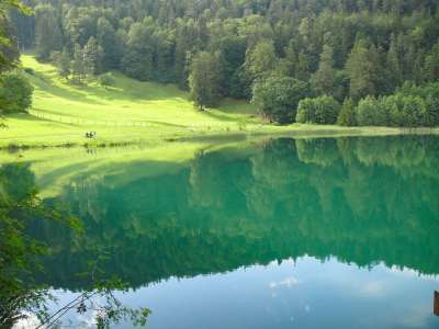 湖 水 夏天 谷 小山 森林 树木 反思 国家 农村 自然