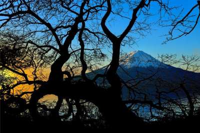 富邦美 火山 山 树 秃 日出 日落 景观