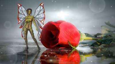 幻想 精灵 玫瑰 光 童话 情绪 气氛 翅膀 魔术 女孩