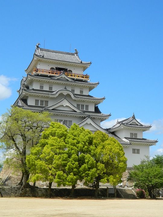 城堡 观光 历史景点 历史 建造 堡垒 天空 著名的 宫