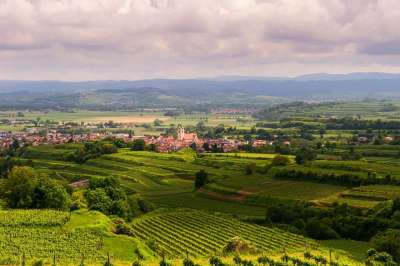 景观 葡萄园 梯田 夏天 Kaiserstuhl 假期 远足 全景