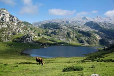 山 湖 蓝色的 景观 自然 山地景观 云 比利牛斯 水 下雪的