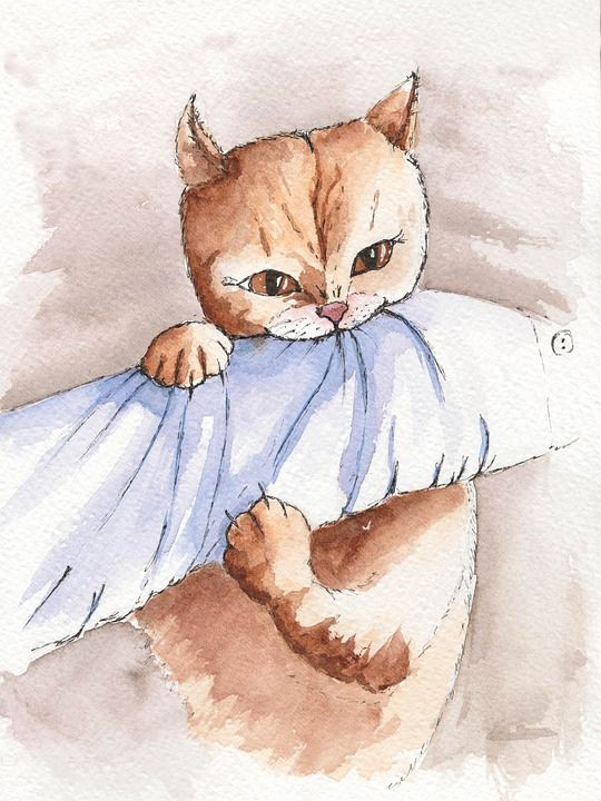 猫 睡前 家庭宠物 猫科动物 动物 小猫 水彩 猫咬伤 手