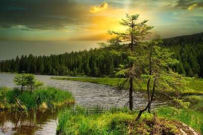 湖 森林 户外 荒野 水 云 日落 景观 自然