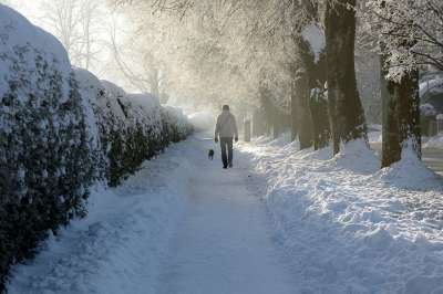 雪 冬天 小路 人 人的 寒冷的 散步 走 白色的 下雪的