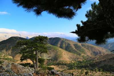 看法 山 高 自然 景观 全景 云 天空 打开 平静 美丽