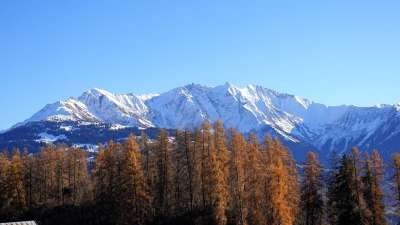 自然 秋天 季节 户外 旅行 勘探 落下 雪 山