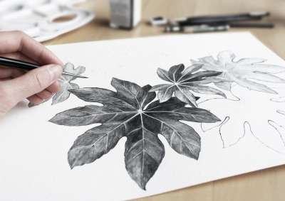 黑和白 艺术 绘画 美术 画家 手 叶子 自然 画画 树叶