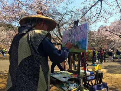 樱花 春天 日本 开花 樱桃 日本人 自然 花 粉色的 绘画