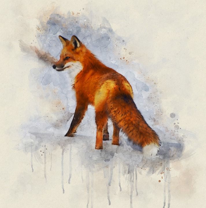 狐狸 Lpart 雪 艺术 绘画 数字的 水 水彩 设计 自然