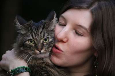 肖像 猫 年轻女子 脸 爱 女性 自然 感情