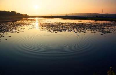 波纹 日落 湖 冷静的 黄昏 太阳 阳光