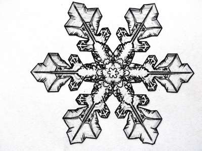 铅笔素描 雪花 冰晶 抽象的 画画 线条草图 图 手绘 用手