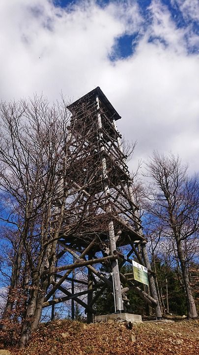 瞭望塔 自然 林 旅游 看法 天空 旅行 旅游景点 夏天