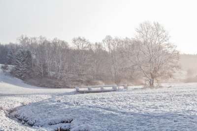 原野 冬天 雪 长廊 景观 草地 巴赫 桥 树木 森林