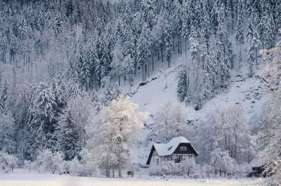山 雪 自然 冬天 冬季景观 景观 雪景 寒冷的 多雾路段