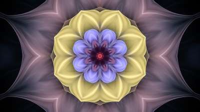 艺术 模型 设计 墙纸 语境 玫瑰花结 花环 曼荼罗 装饰风格