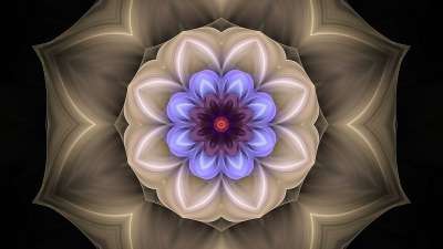 艺术 模型 设计 墙纸 语境 玫瑰花结 花环 曼荼罗 装饰风格