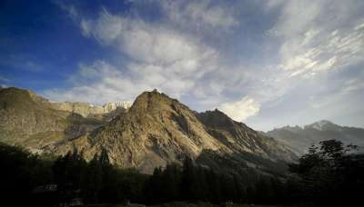 勃朗峰 意大利 天空 云 山 景观 森林 树木 自然 目睹