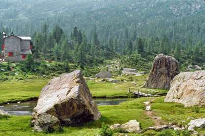 山 阿尔卑斯山 高山避难所 径 草地 激流 桥 岩石 松林
