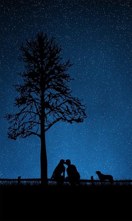 夫妻 原野 树 狗 夜晚 星空 爱 吻 浪漫 新郎 墙纸