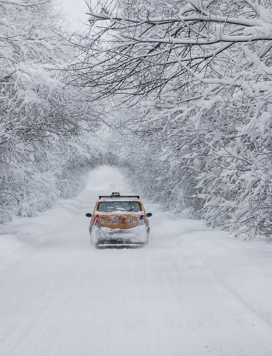 雪 白色的 车 冬天 蓝色的车