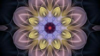 艺术 模型 设计 墙纸 语境 玫瑰花结 花环 曼荼罗 装饰风格