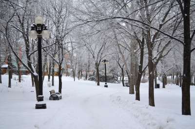 温尼伯 加拿大 冬天 雪 树木 走道 建筑物 城市 小路 踪迹