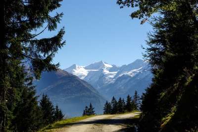 落下 小路 踪迹 景观 森林 格罗斯文迪格 山 平茨高 陶恩山