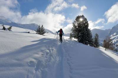 滑雪 冬天 太阳 雪 枞树 穷乡僻壤Skiiing 山