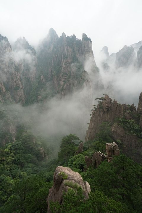 黄山 山 山脉 多雾路段 树木 中国 黄山 黄山 黄山 黄山