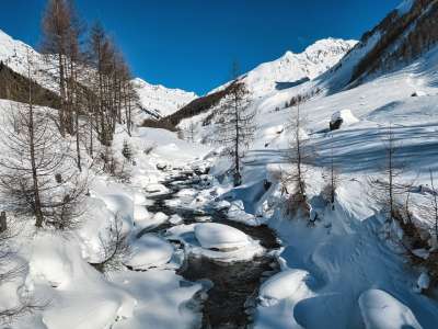 雪 溪 山 阿尔卑斯山 高山 雪山 秃树 树木 冻结 下雪的